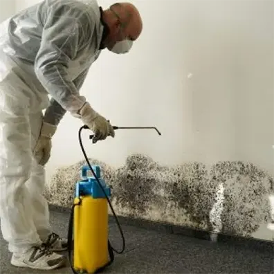 Service worker spraying mold on wall